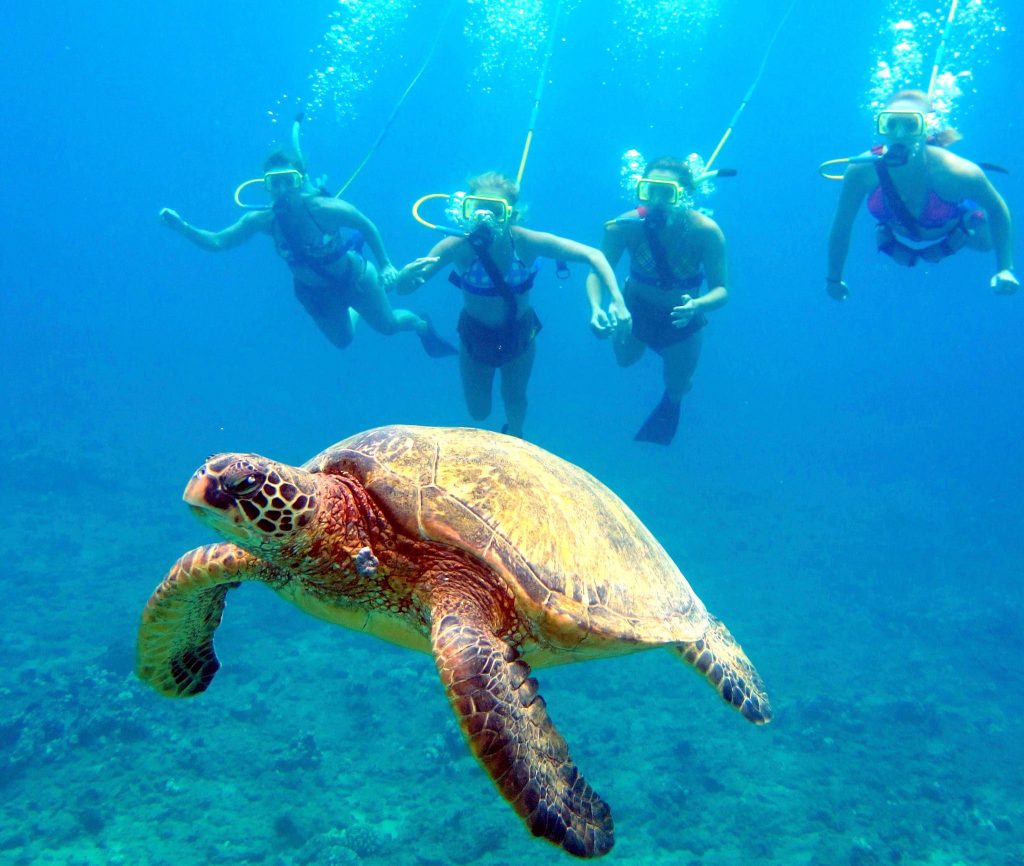 group dive tour SNUBA Maui